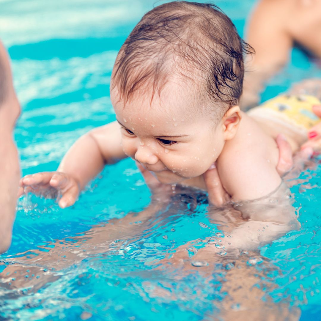 Perheuinti (1-3v) - Flamingo