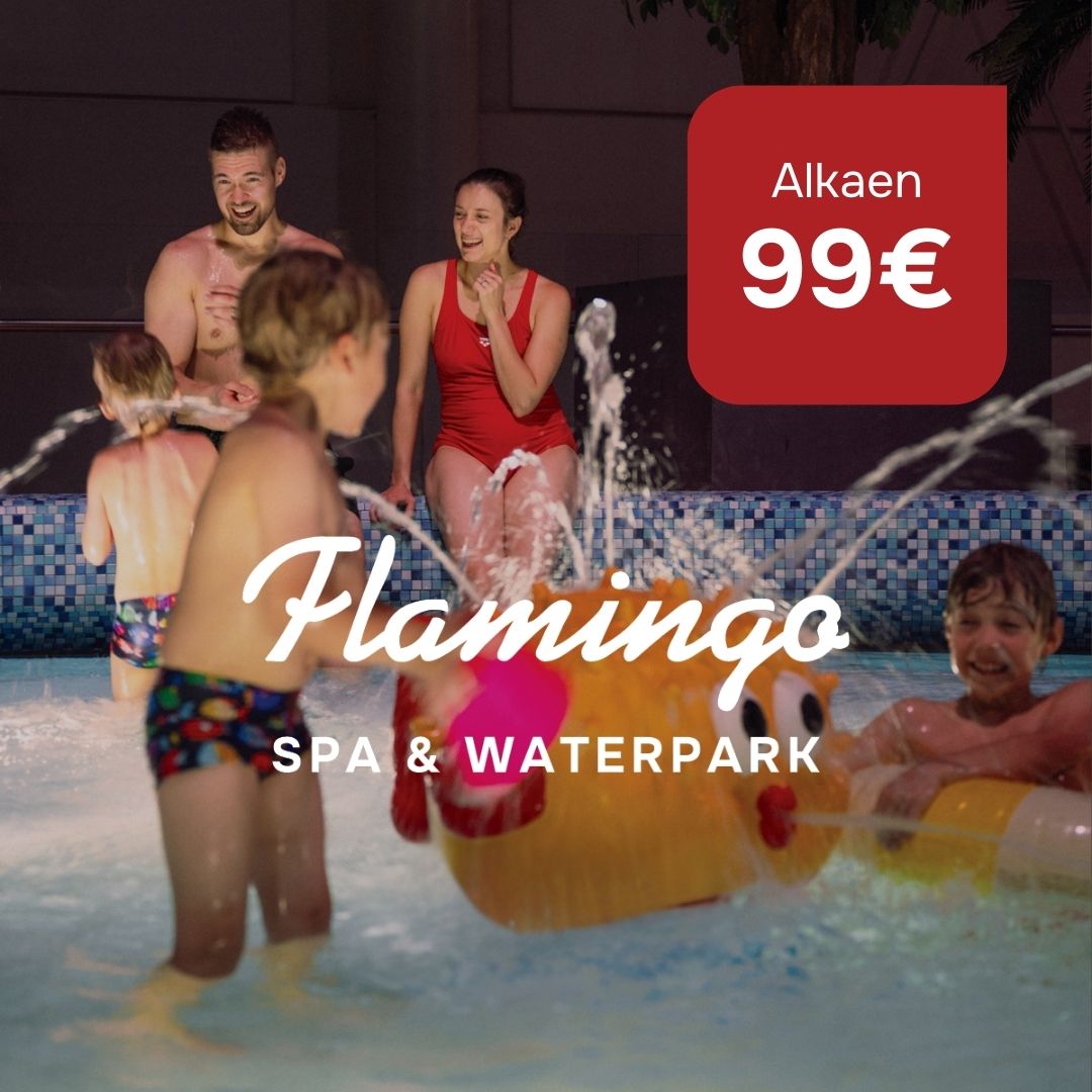 Joulukauppa: 10x Sarjalippu alkaen 99€