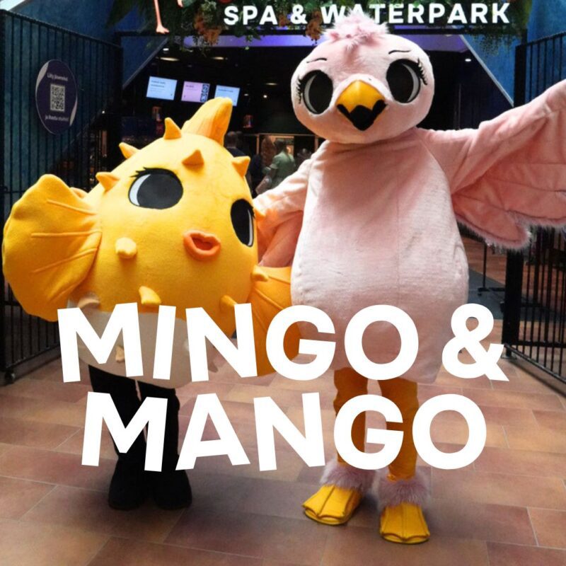 Mutta keitä ovat Mingo & Mango? 🐡